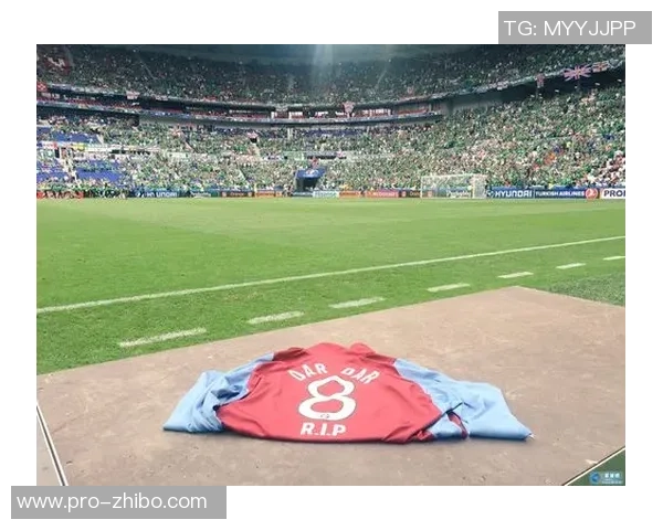 激情四溢的爱尔兰足球歌曲带你领略绿茵场上的热血与团结